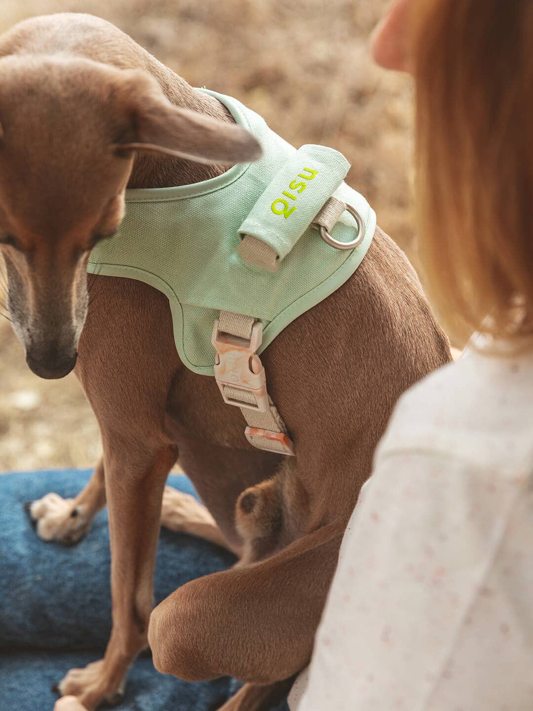 QISU - Hug-Geschirr – Ergonomisch & Nachhaltig für deinen Hund