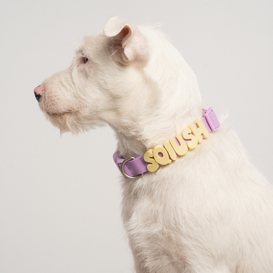 Springland Pets - Silikon-Hundecharm-Anhänger für Hundehalsband/Leine/Flasche (63 Anhänger) - OSSO BLU