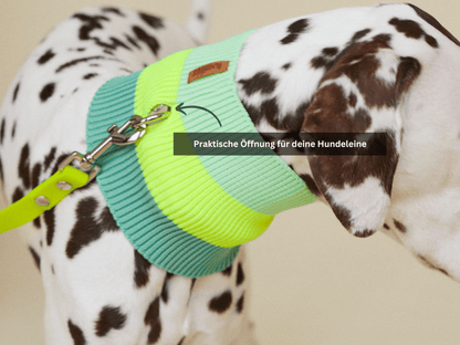 LUMIIES – Glow Loop 2.0 Hundeschal Electric Sunset