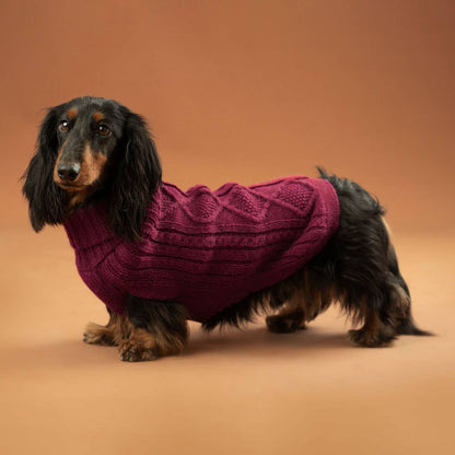 Alqo Wasi - Alqo Wasi Aran-Strick Alpaka-Hundepullover: XS / Lavender - OSSO BLU