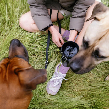 SPRINGER - Reisetrinkflasche für Hunde | Flip 590ml - OSSO BLU