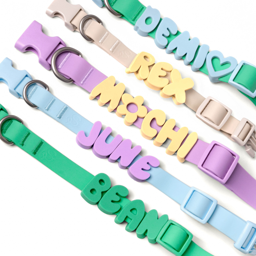 Springland Pets - Silikon-Hundecharm-Anhänger für Hundehalsband/Leine/Flasche (63 Anhänger) - OSSO BLU
