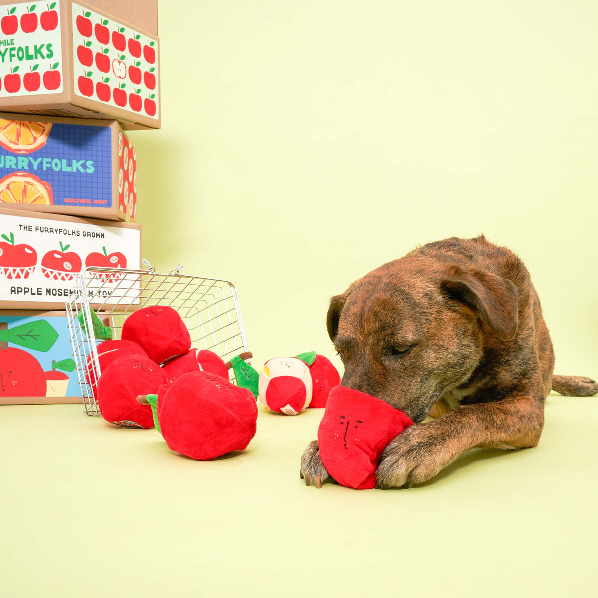 the furryfolks - Apple Nosework-Spielzeug für Hunde - OSSO BLU