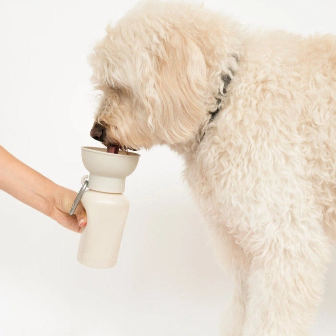 SPRINGLAND PETS - Travel Water Bottle for Dogs | Flip 590ml