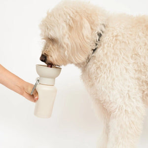 SPRINGER - Reisetrinkflasche für Hunde | Flip 590ml - OSSO BLU