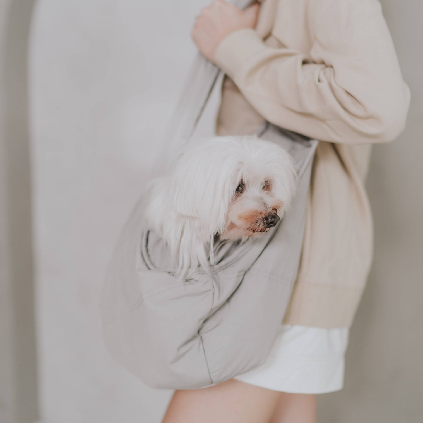LAMBWOLF COLLECTIVE - OLLA Tragetasche für Hunde - Koala - OSSO BLU