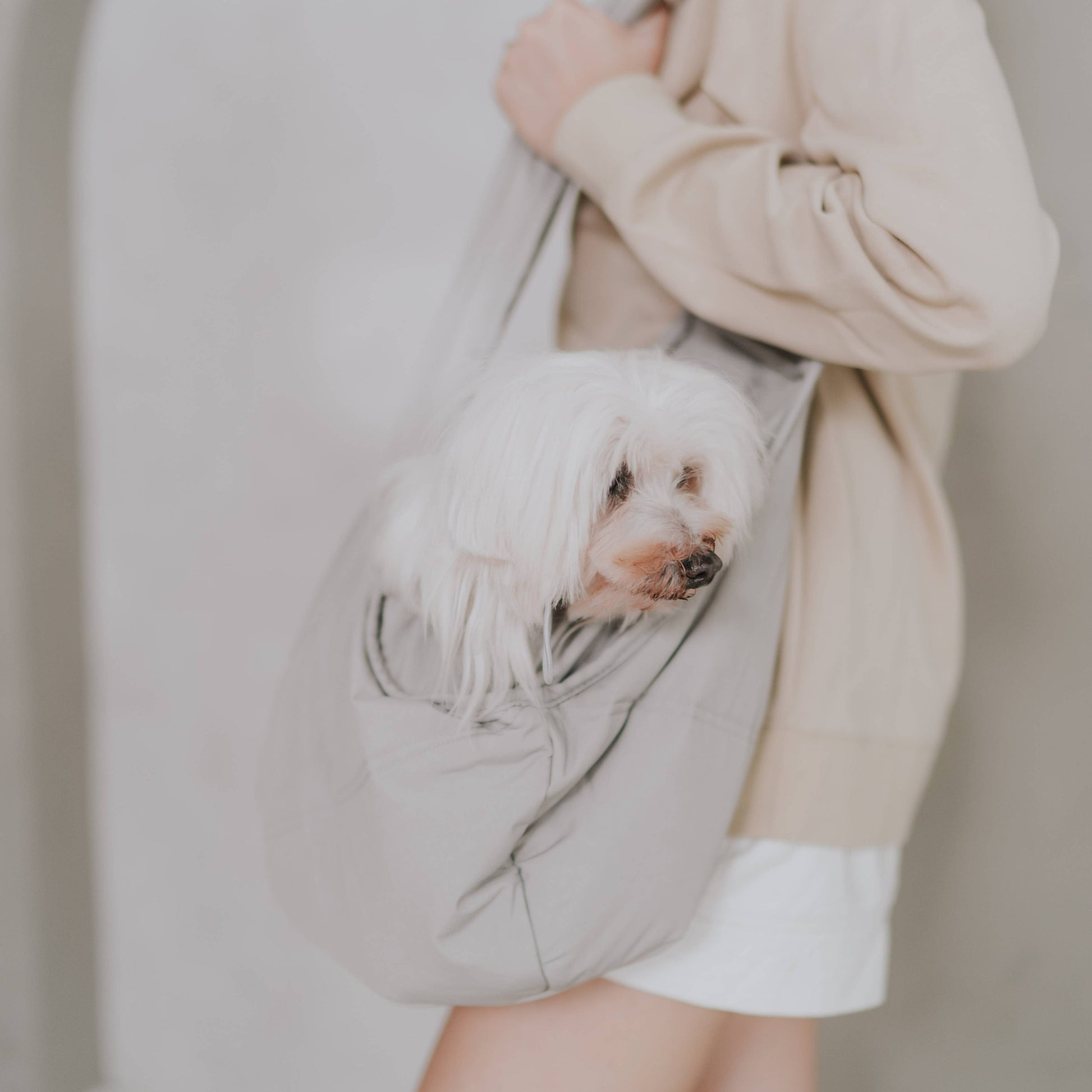 LAMBWOLF COLLECTIVE - OLLA Tragetasche für Hunde - Koala - OSSO BLU