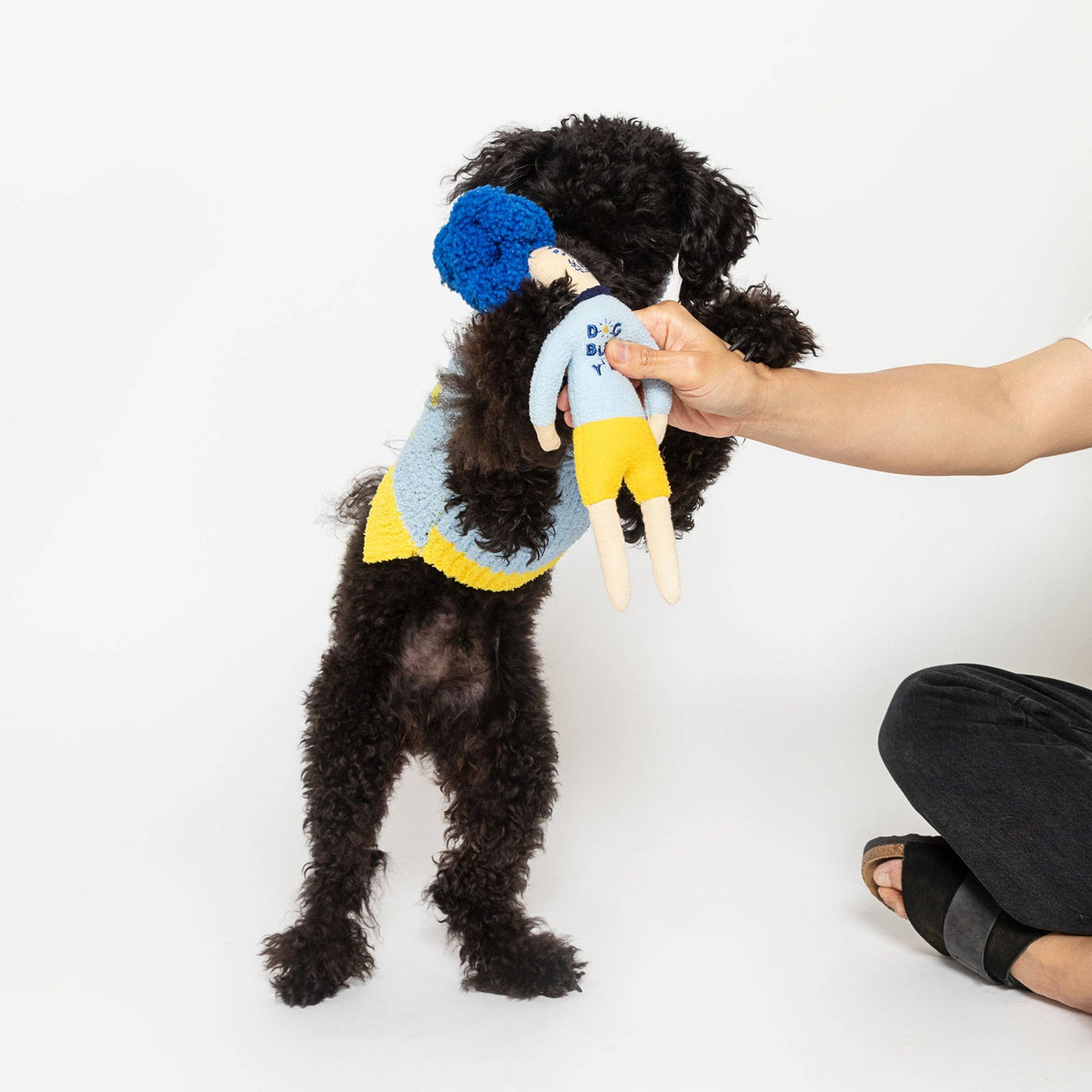 the furryfolks - Hooman Nose Work Spielzeug von the furryfolks - OSSO BLU