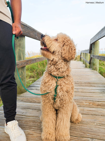 SUNNY TAILS - Meadow Green Cloud Lite Dog Harness - OSSO BLU