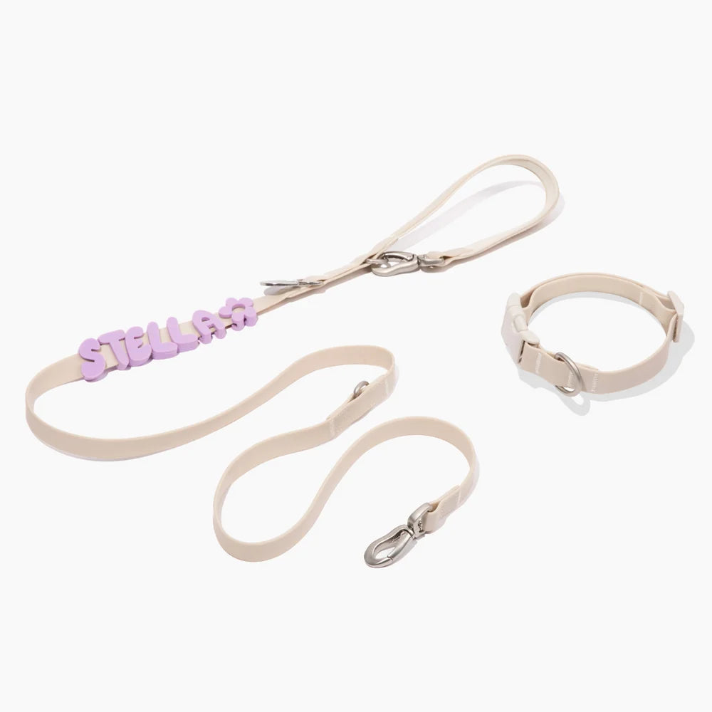 SPRINGLAND PETS – Wasserdichtes Hundeleine & Halsband Set