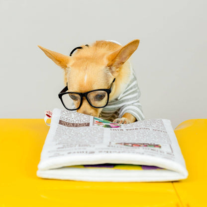 the furryfolks - Zeitungsausgabe Nr. 2 Nosework-Spielzeug - OSSO BLU