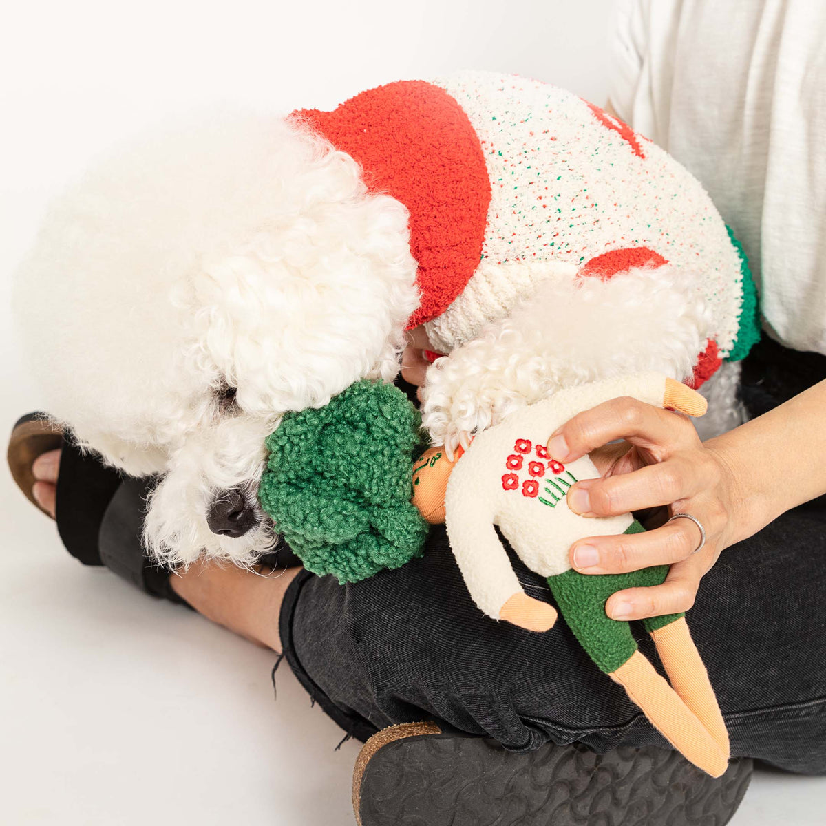 the furryfolks - Hooman Nose Work Spielzeug von the furryfolks - OSSO BLU
