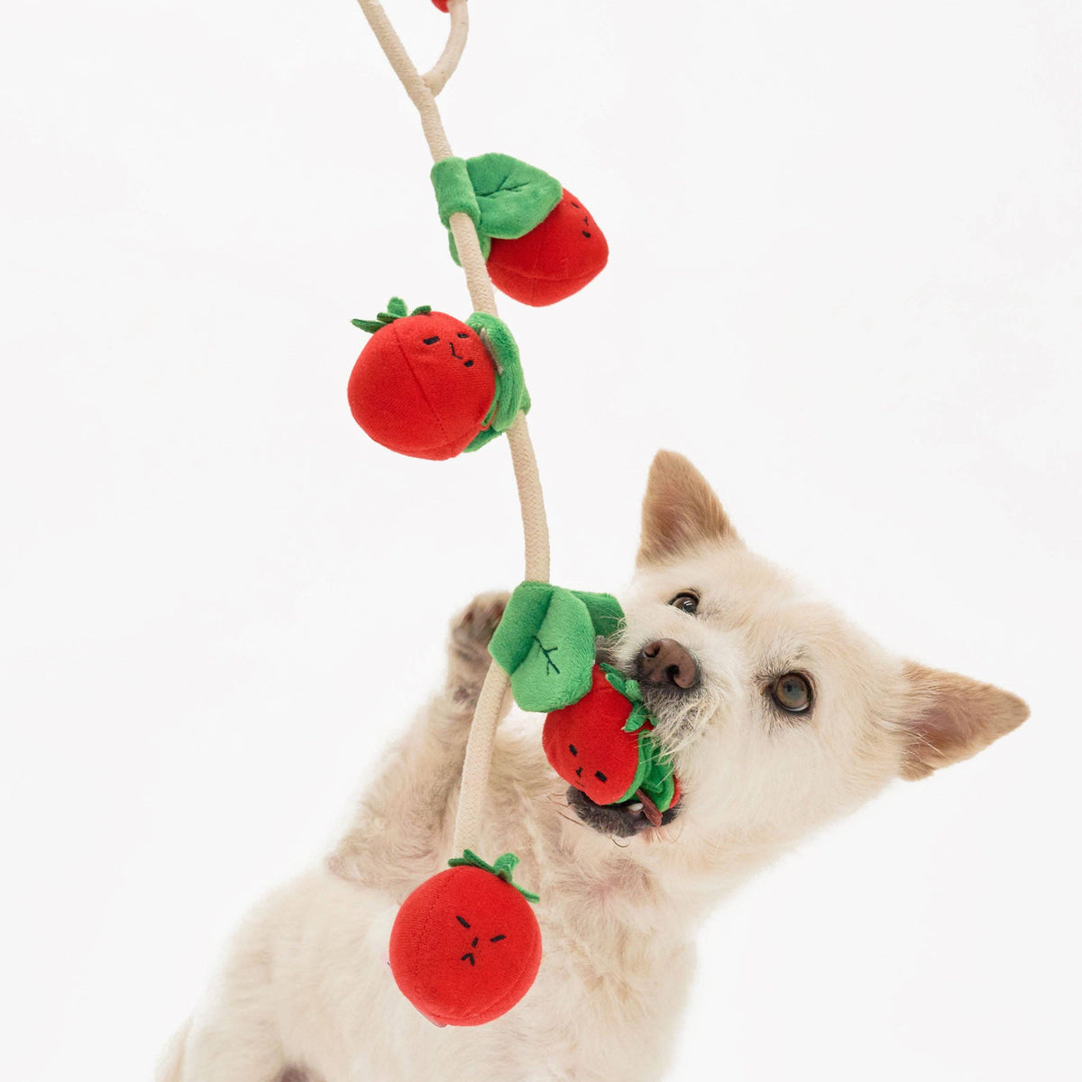 THE FURRYFOLKS – „Cherry Tomato“ Schnüffel- & Zerrspielzeug für Hunde