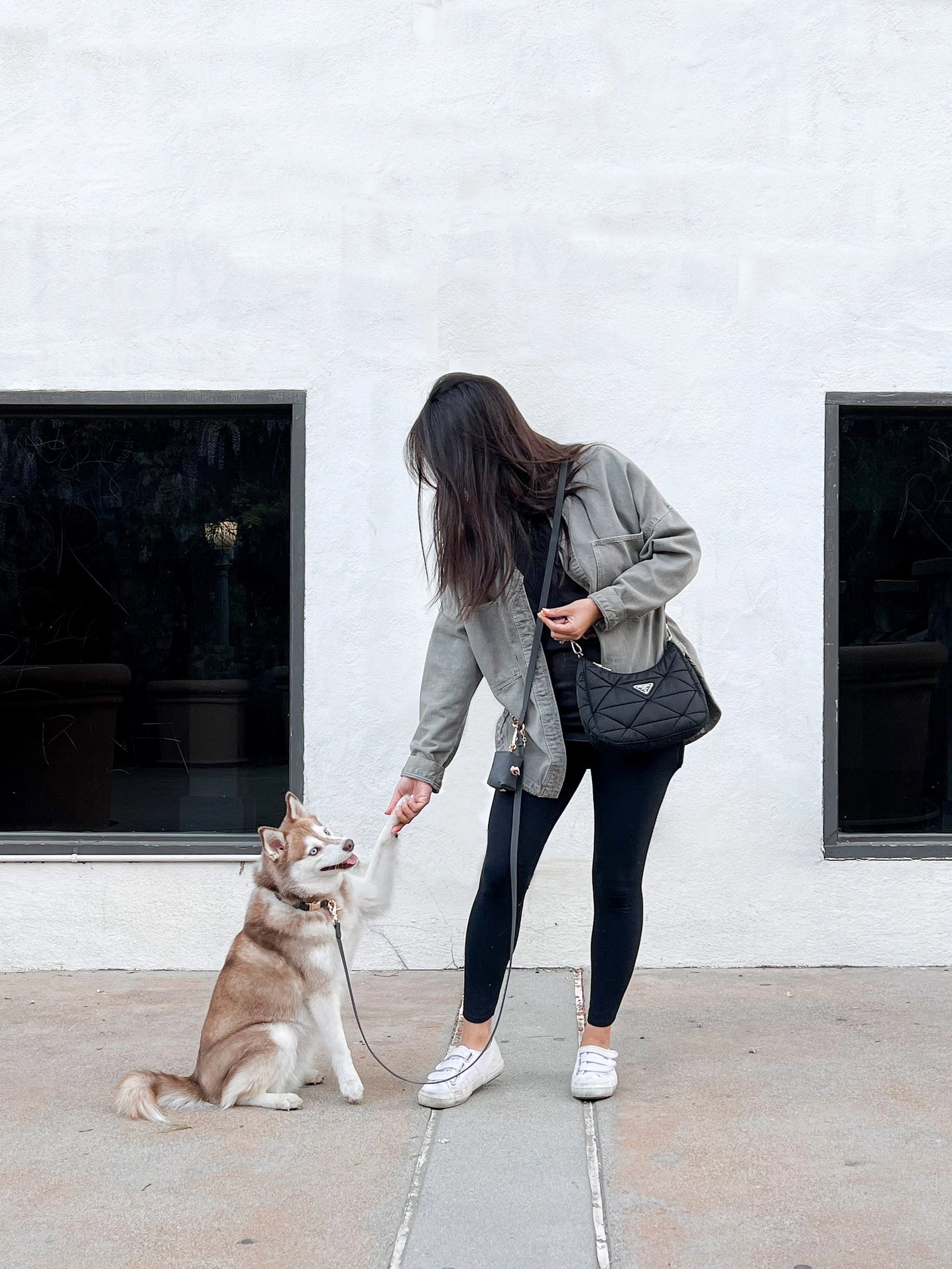 SUNNY TAILS - Wasserdichtes Hundehalsband - Ember Black - OSSO BLU