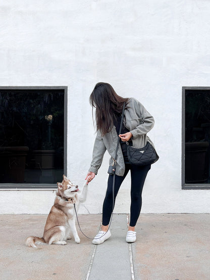 SUNNY TAILS - Wasserdichtes Hundehalsband - Ember Black - OSSO BLU