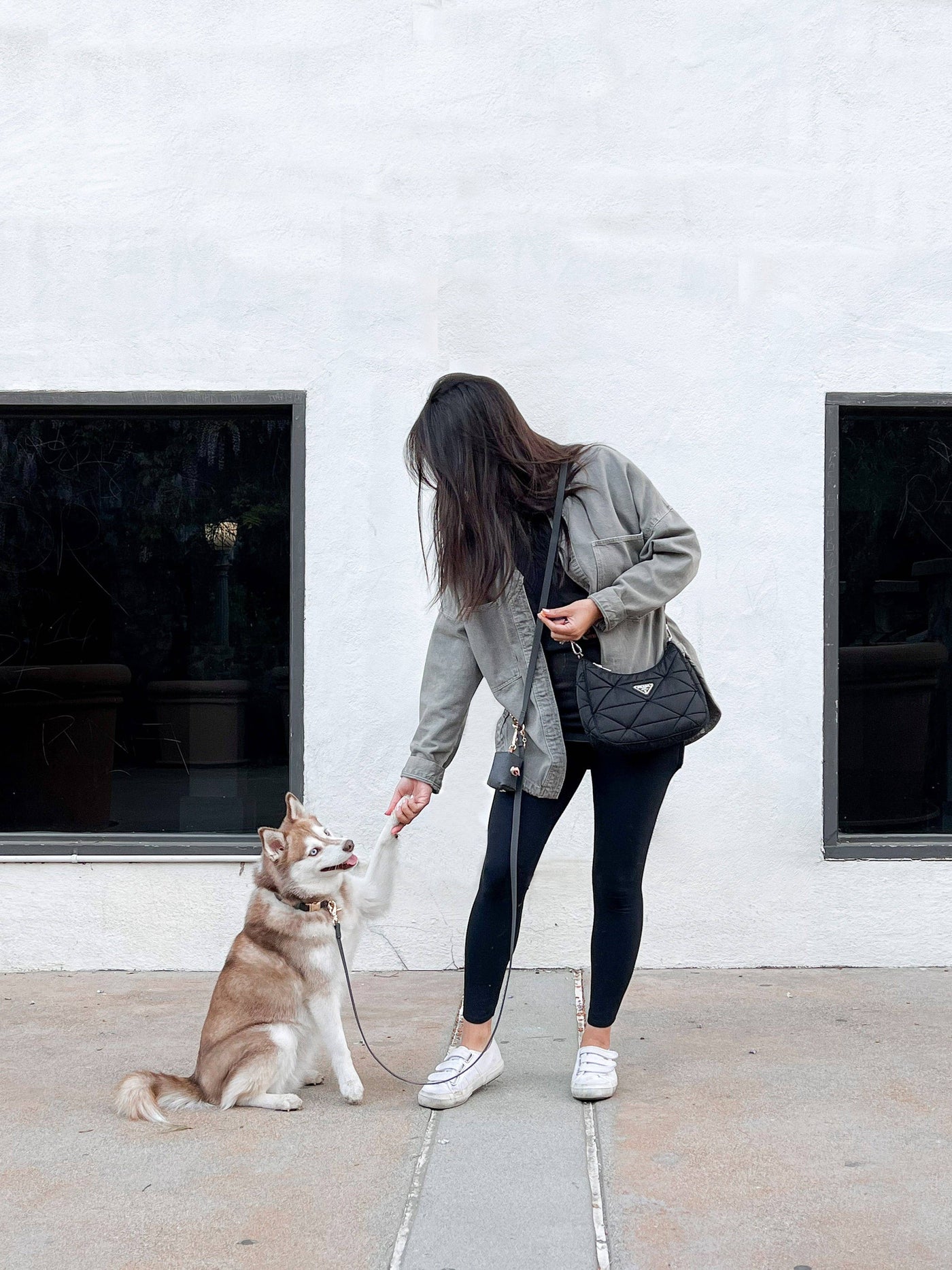 SUNNY TAILS - 4-in-1 Convertible & Multifunctional Dog Leash - Ember Black