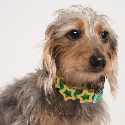 Springland Pets - Silikon-Hundecharm-Anhänger für Hundehalsband/Leine/Flasche (63 Anhänger) - OSSO BLU