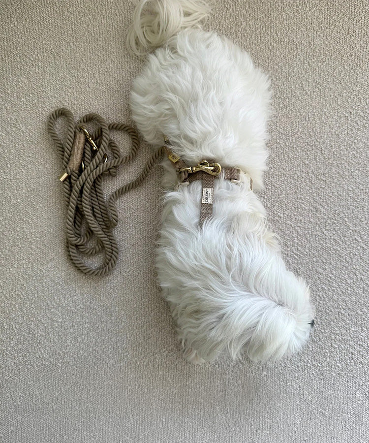 DREW'S DOGWEAR