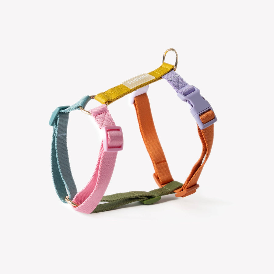 FURLOU - Regenbogen Hundegeschirr - OSSO BLU