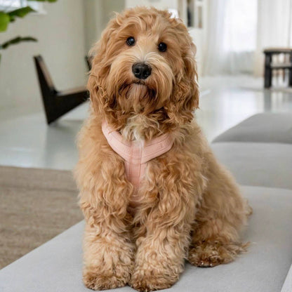 FURLOU – Komfort Hundegeschirr Powder Rose