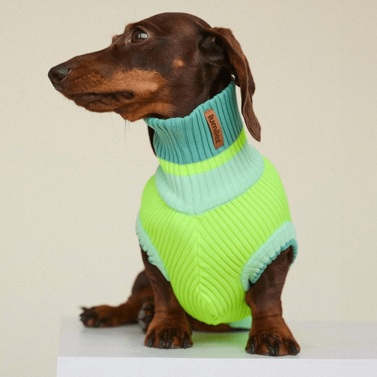 LUMIIES – Glow Jumper 2.0 Hundepullover Neon Matcha