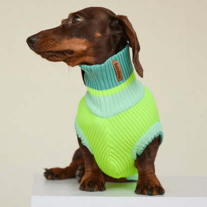 LUMIIES – Glow Jumper 2.0 Hundepullover Neon Matcha