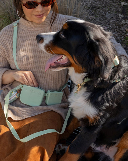 SUNNY TAILS – Snap Dog Treat Pouch Leckerlibeutel – Ember Black