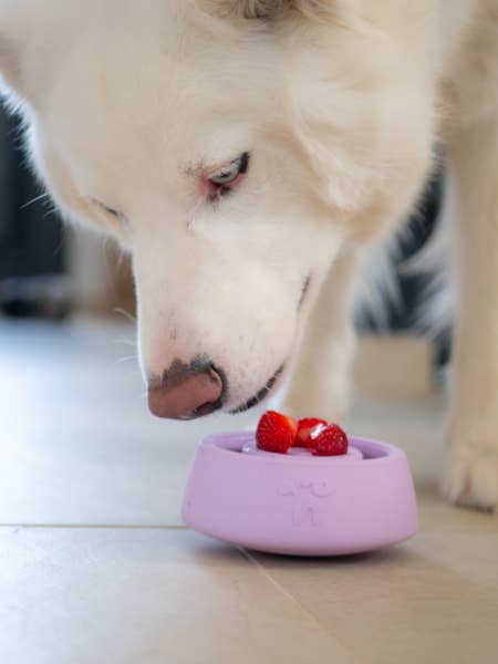 INOOKO - Yoomy Wobble Toy for Dogs, Sand-colored