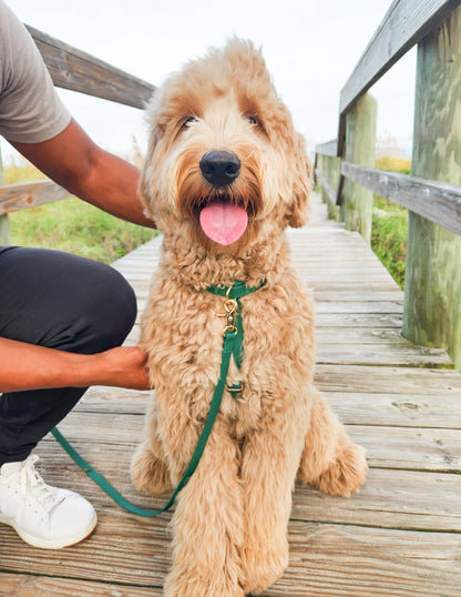 SUNNY TAILS - Meadow Green Cloud Lite Dog Harness - OSSO BLU