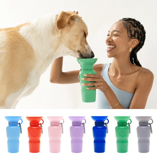 SPRINGLAND PETS – Hundereise-Wasserflasche Classic 650 ml (ohne Silikon-Klappschale) - OSSO BLU