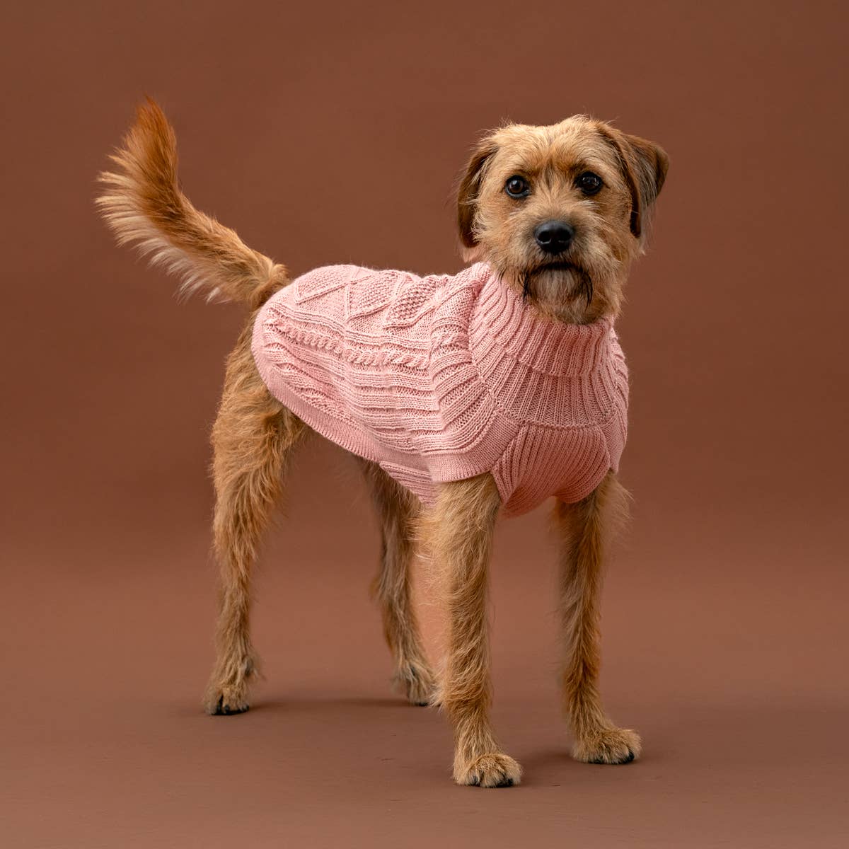 Alqo Wasi - Alqo Wasi Aran-Strick Alpaka-Hundepullover: XS / Blush Pink - OSSO BLU