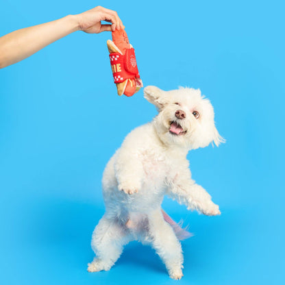 the furryfolks - Hot Doggie Nosework-Spielzeug - OSSO BLU