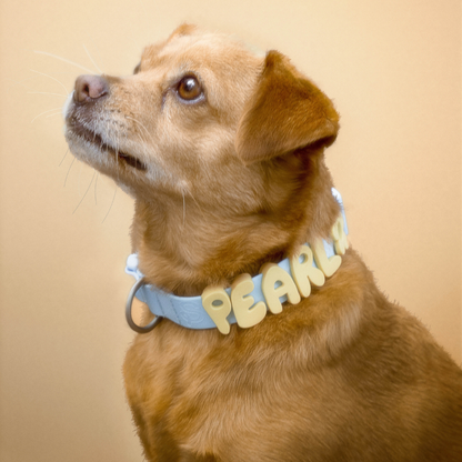 Springland Pets - Wasserdichtes & Verstellbares Hundehalsband (6er Pack) - OSSO BLU