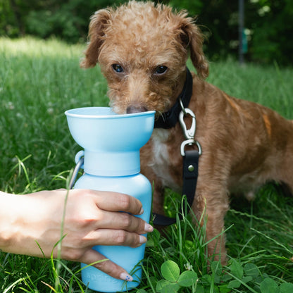 SPRINGER - Reisetrinkflasche für Hunde | Flip 590ml - OSSO BLU