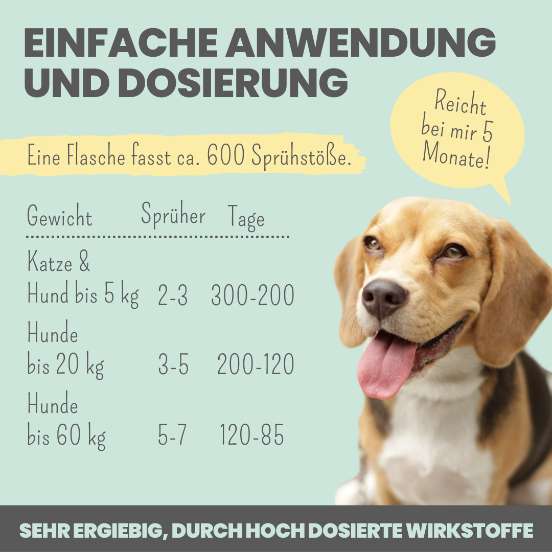 NOMS+ - Dentalspray bei Zahnstein für Hunde und Katzen