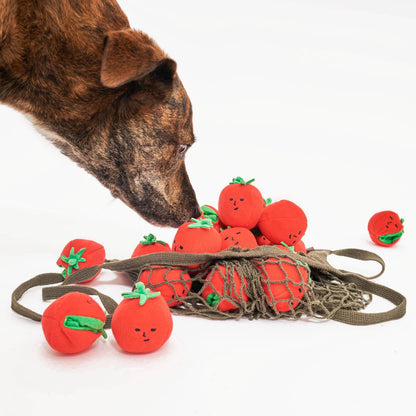 the furryfolks - Cherry Tomato Such- und Zerrspielzeug für Hunde - OSSO BLU