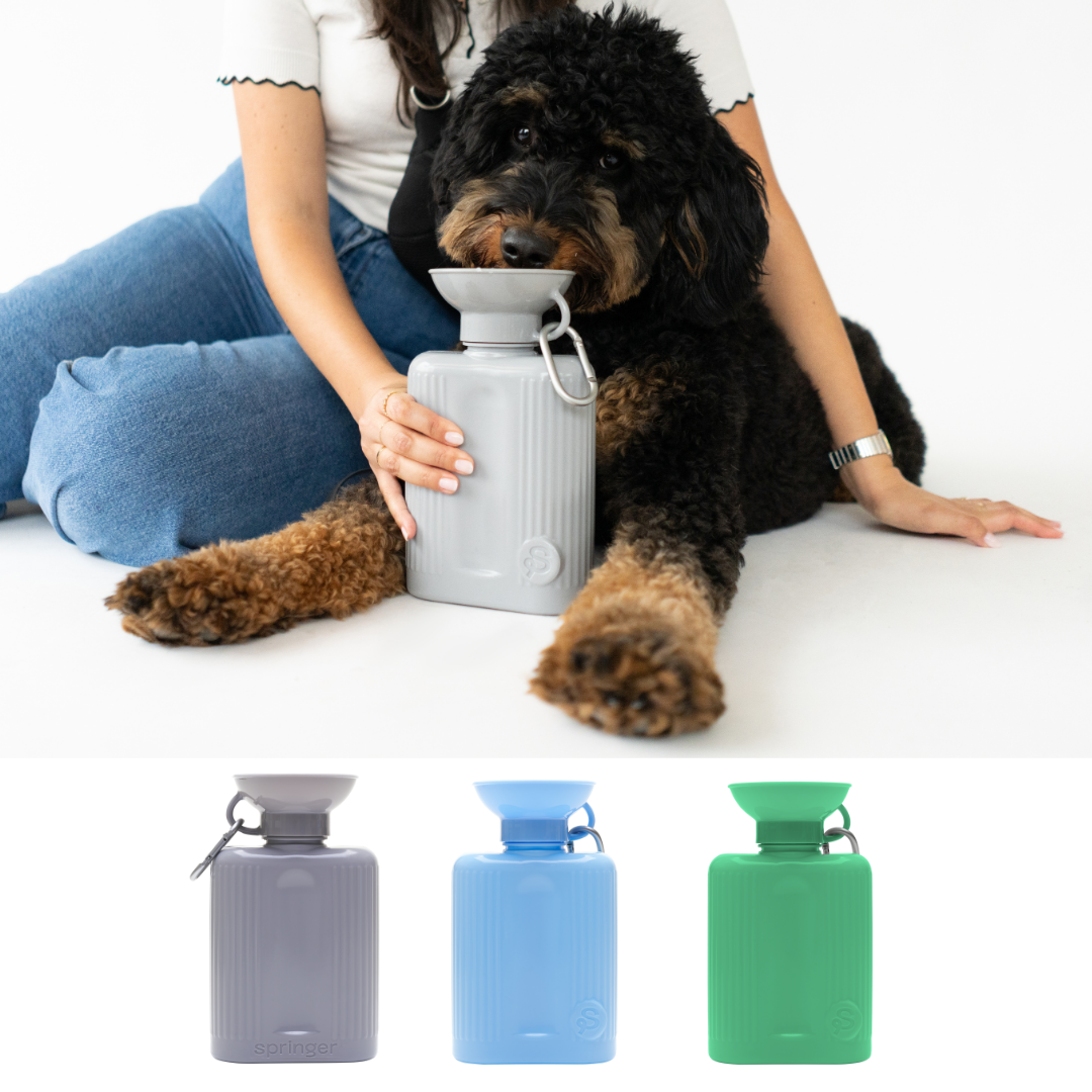 SPRINGLAND PETS – Hundereise-Wasserflasche Growler 1,3 L (ohne Silikon-Klappschale) - OSSO BLU