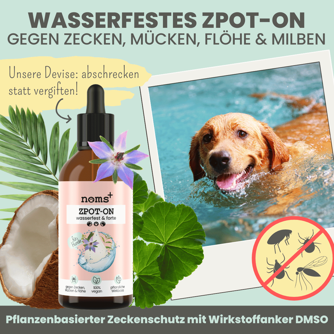 NOMS+ - Wasserfestes Spot-on für Hunde gegen Zecken, Flöhe, Milben & Mücken