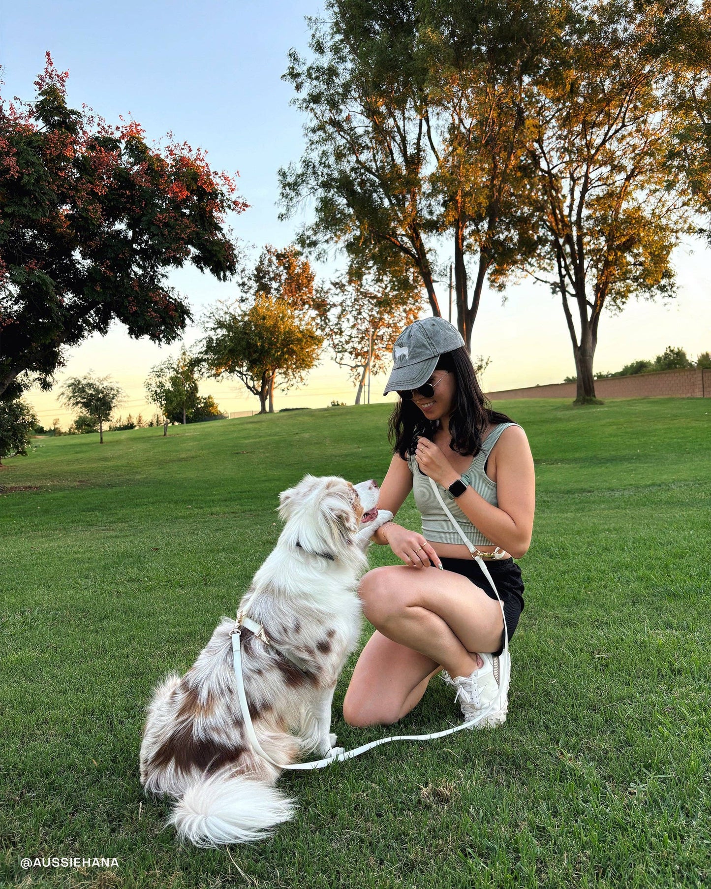 SUNNY TAILS - Cloud 4-in-1 Hundeleine - Glow in the Dark