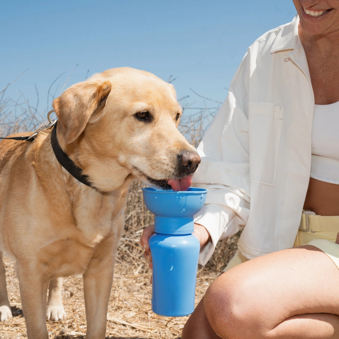 SPRINGER - Reisetrinkflasche für Hunde | Flip 590ml - OSSO BLU