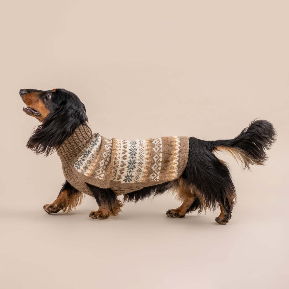 Alqo Wasi - Herbst-Medley Alpaka-Hundepullover: Brown / XS - OSSO BLU