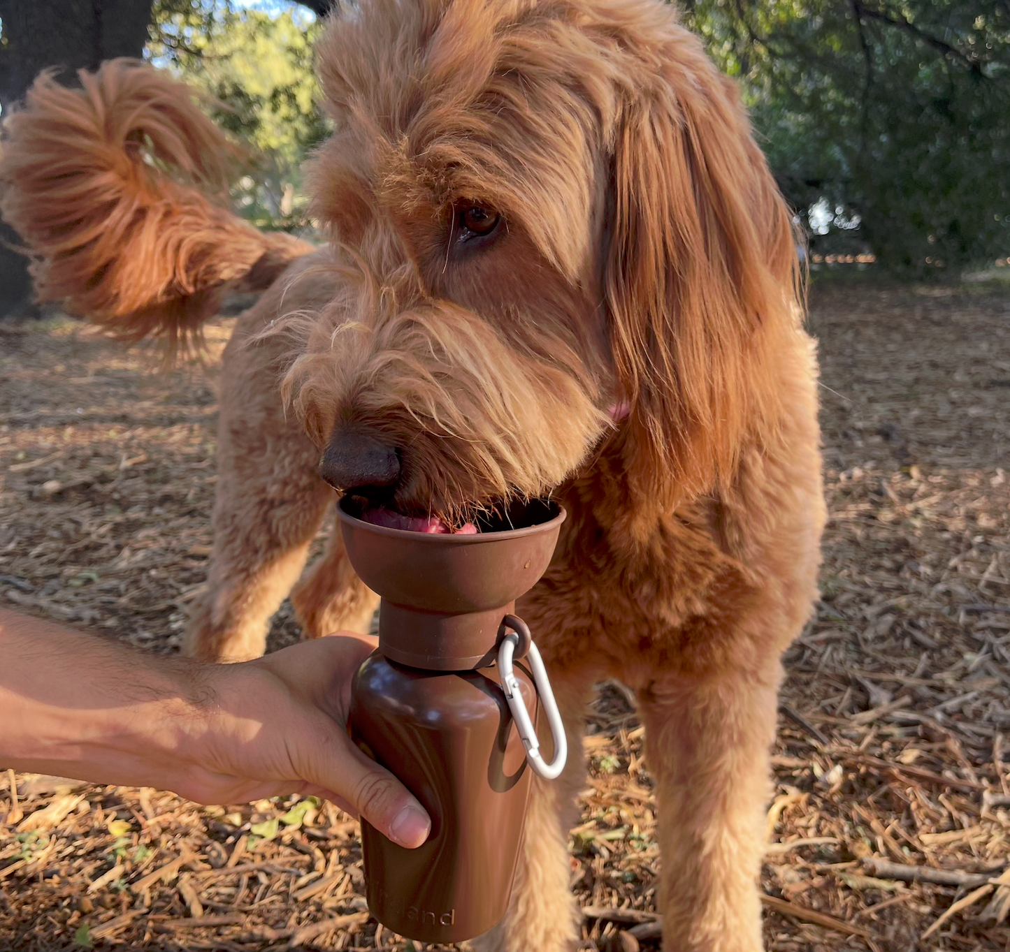 SPRINGLAND PETS - Limited Edition – „Twig Brown“