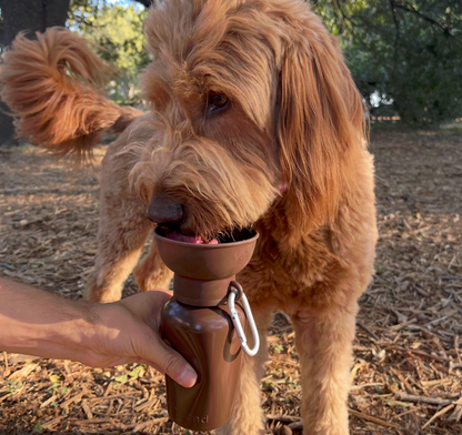 SPRINGLAND PETS - Limited Edition – „Twig Brown“