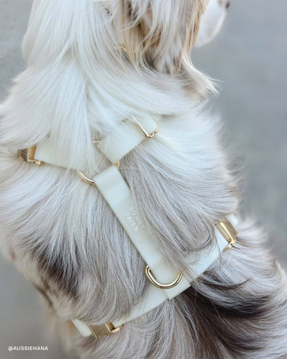 SUNNY TAILS - Cloud Hundehalsband - Glow in the Dark
