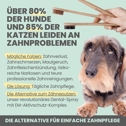 NOMS+ - Dentalspray bei Zahnstein für Hunde und Katzen