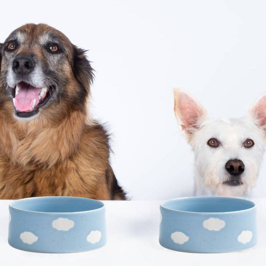 EGG BACK HOME - Cloud feeding bowls (set of 2)