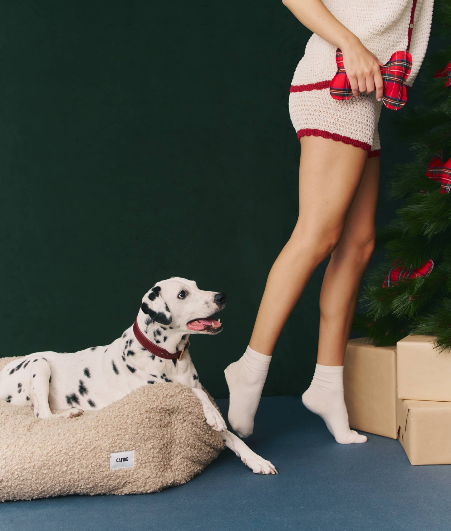 CAFIDE - Hundebett „Snozy“ – Beige