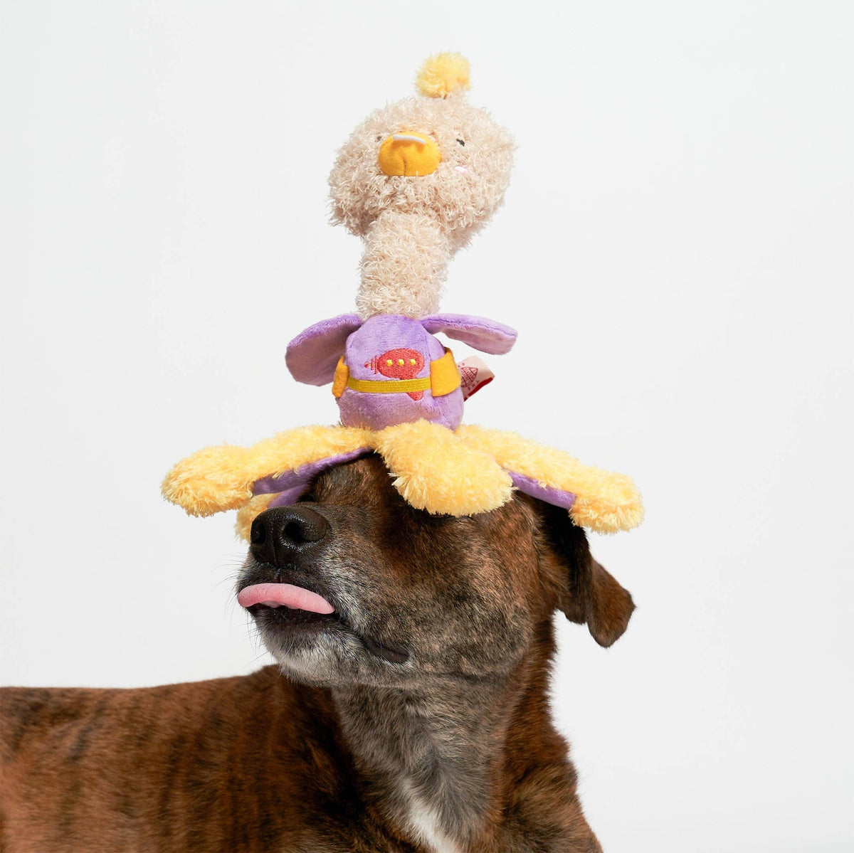 the furryfolks - OstriKraken Nosework-Spielzeug - OSSO BLU