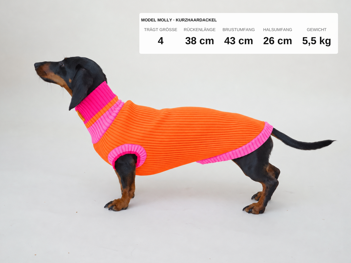 LUMIIES – Glow Jumper 2.0 Hundepullover Sunny Tangerine