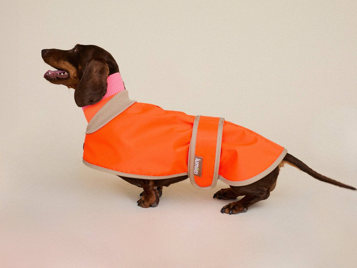 LUMIIES – Glow Raincoat Mini-Fit Hunderegenmantel Neonorange
